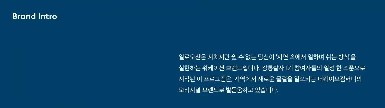 일로오션 브랜드 디자인 - 3