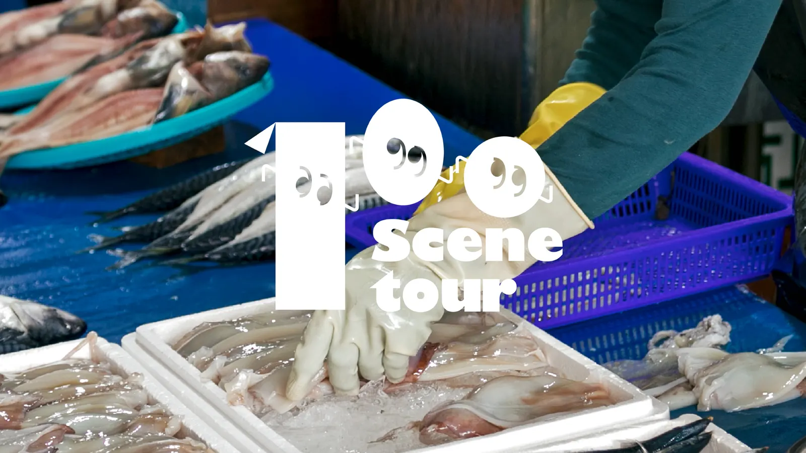 100 Scene Tour